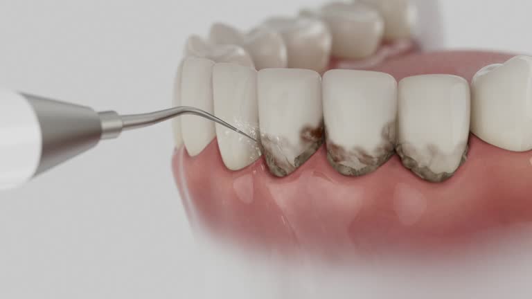 Reliable Dental contractor in Newport, SC by Dentist Open Now
